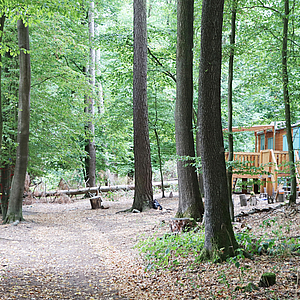 Waldwagen und dessen Umgebung