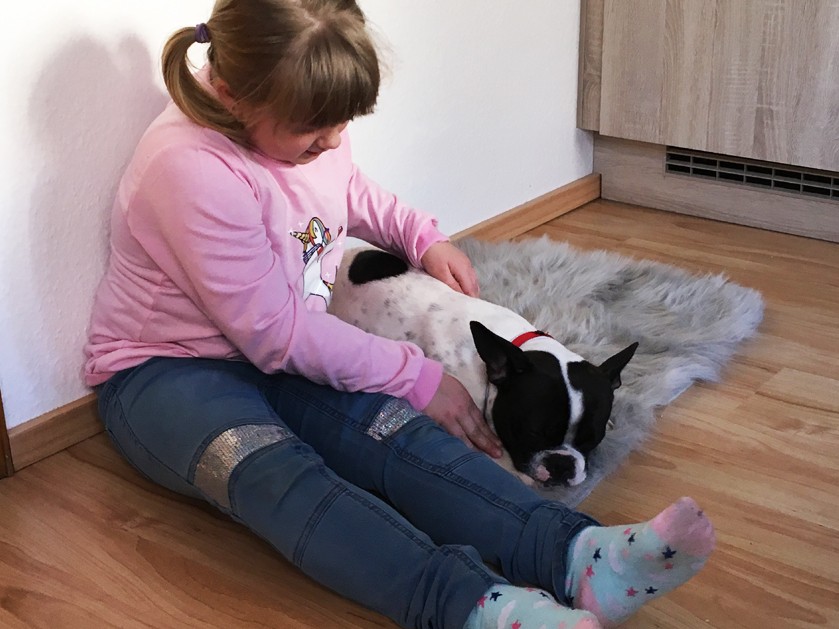 Kinder streichelt Hund in der ATISTA Holzminden