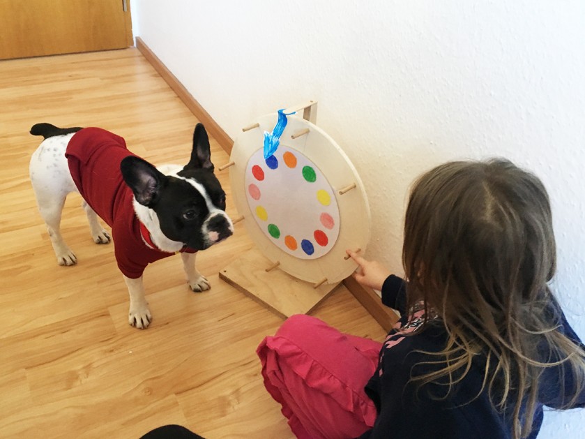 Mädchen spielt mit Hund in der ATISTA Holzminden