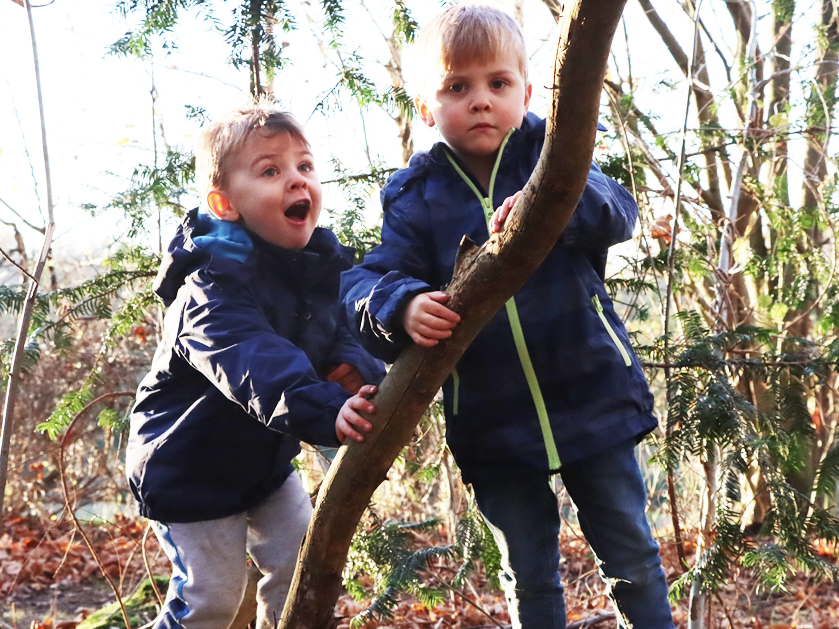 zwei kleine Jungen im Wald