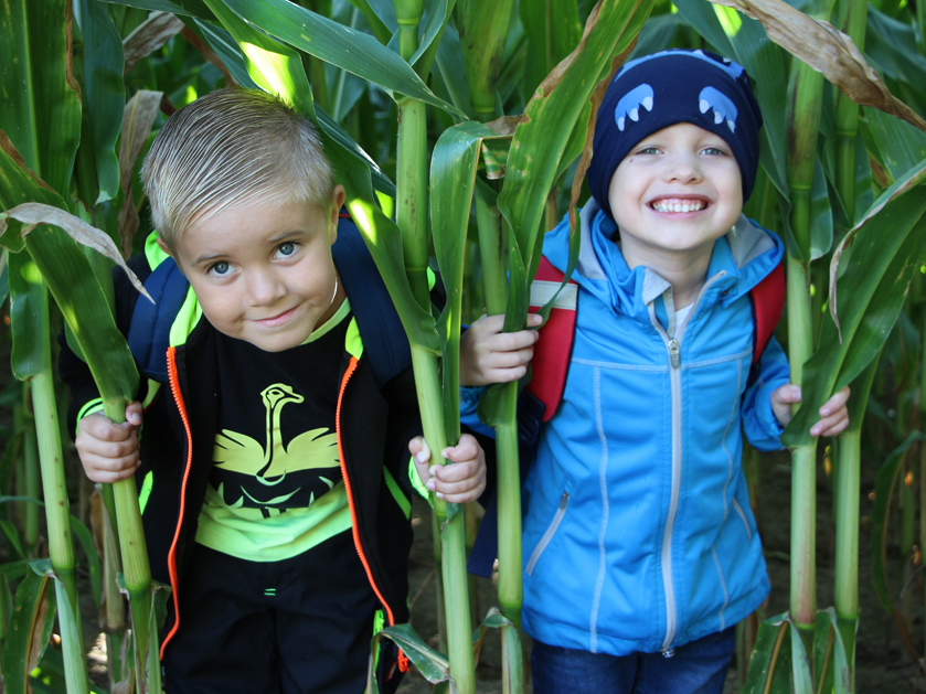 zwei Jungen im Maisfeld