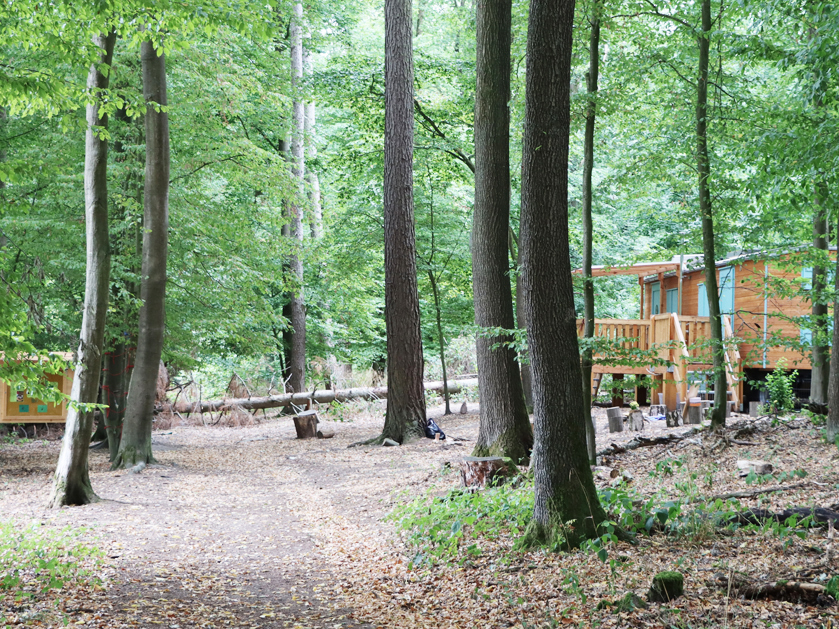 Waldwagen und dessen Umgebung