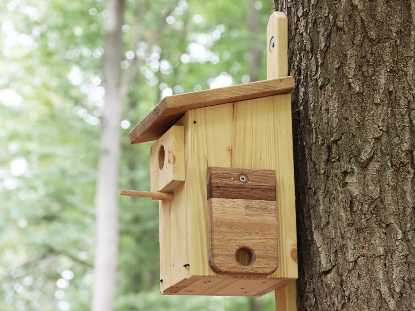 Vogelhäuschen im Wald